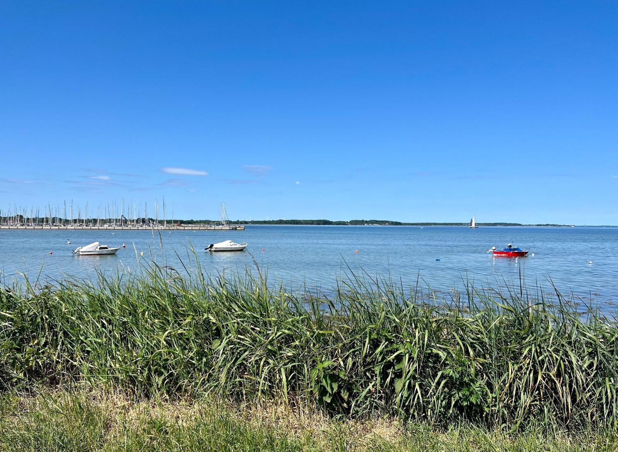 Urlaub Mit Ostseeblick, Schwimmbad, Sauna & Direkte Strandlage Apartment Kronsgaard Exterior photo